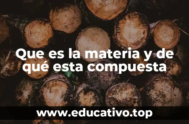 Que es la materia y de qué esta compuesta