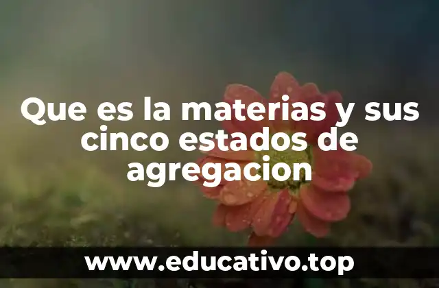 Que es la materias y sus cinco estados de agregacion