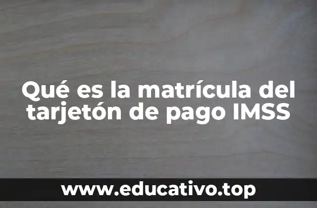 Qué es la matrícula del tarjetón de pago IMSS