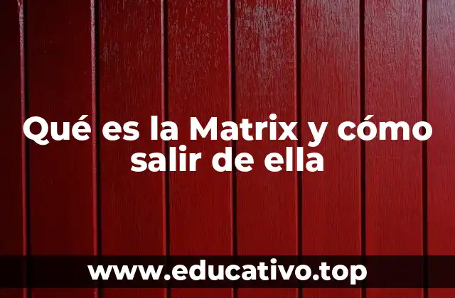 Qué es la Matrix y cómo salir de ella