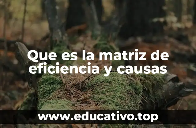 Que es la matriz de eficiencia y causas