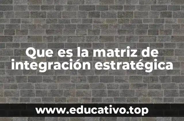 Que es la matriz de integración estratégica