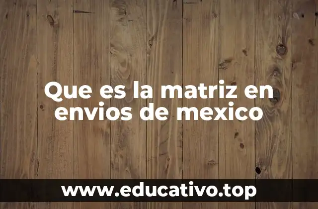 Que es la matriz en envios de mexico