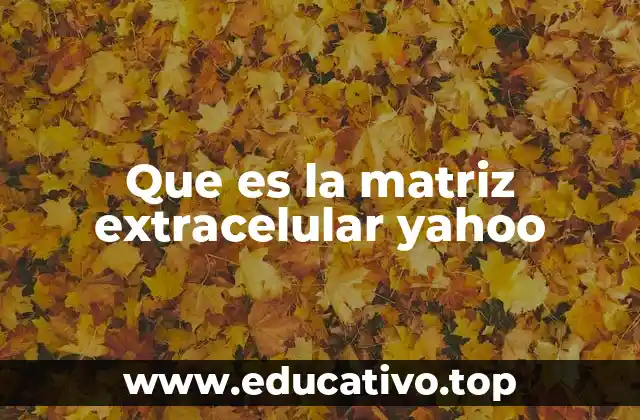 Que es la matriz extracelular yahoo