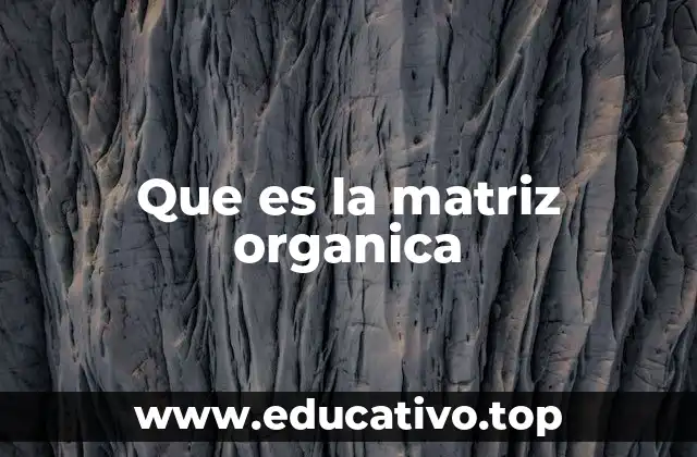 Que es la matriz organica