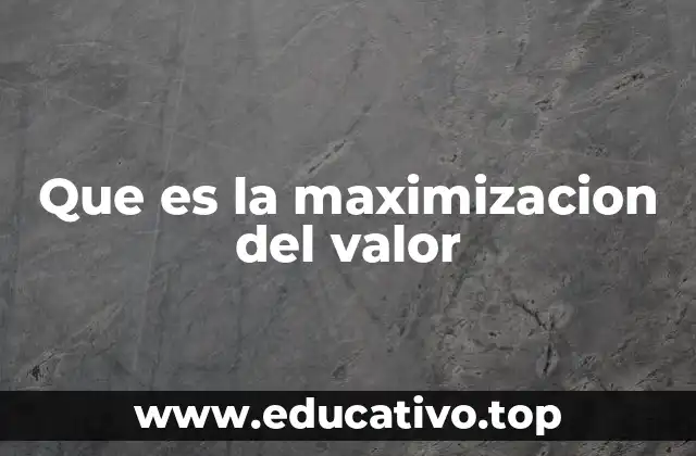 La búsqueda de la eficiencia óptima