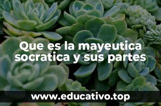 Que es la mayeutica socratica y sus partes