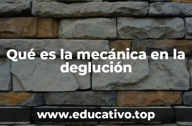 Qué es la mecánica en la deglución
