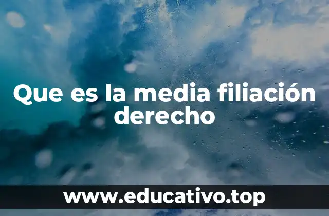 Que es la media filiación derecho