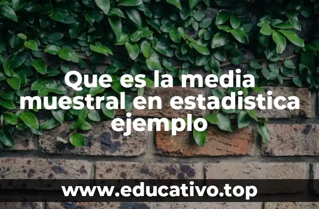 Que es la media muestral en estadistica ejemplo