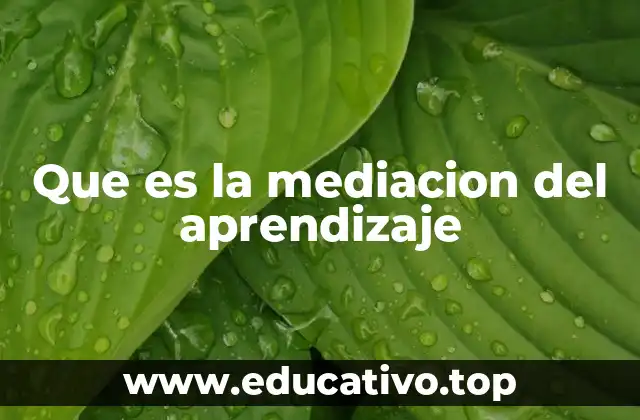 Que es la mediacion del aprendizaje