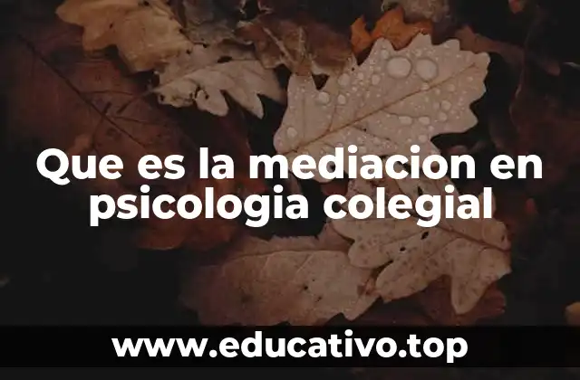 Que es la mediacion en psicologia colegial