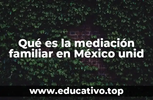 Qué es la mediación familiar en México unid