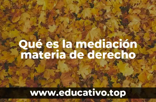 Qué es la mediación materia de derecho