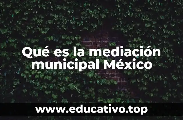 Qué es la mediación municipal México