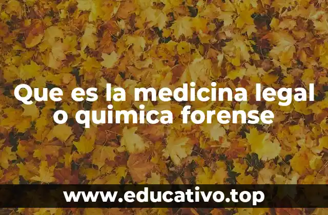 Que es la medicina legal o quimica forense
