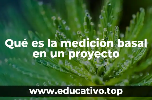 Qué es la medición basal en un proyecto