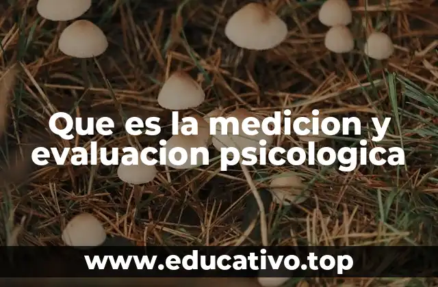Que es la medicion y evaluacion psicologica