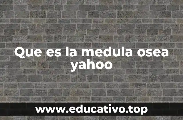 Que es la medula osea yahoo