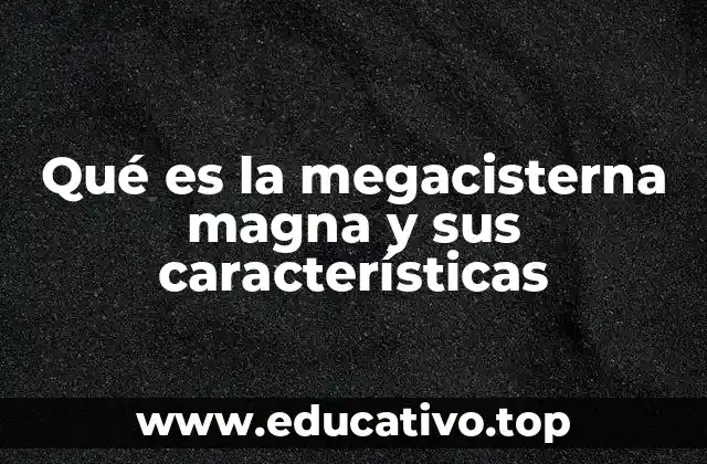 Qué es la megacisterna magna y sus características
