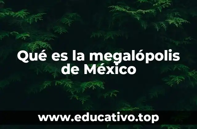 Qué es la megalópolis de México