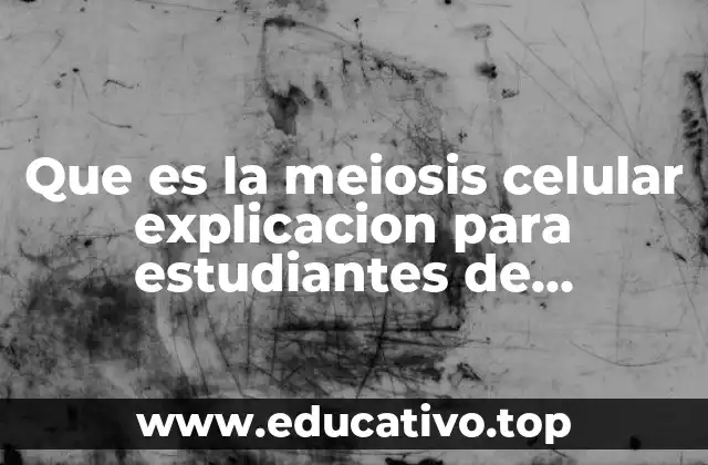 Que es la meiosis celular explicacion para estudiantes de secundaria