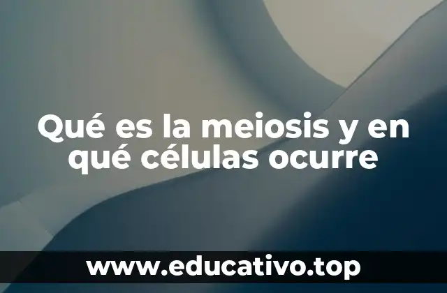 Qué es la meiosis y en qué células ocurre
