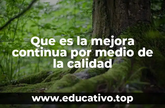 Que es la mejora continua por medio de la calidad