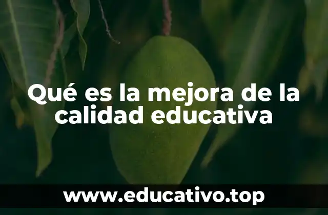 Cómo se logra una educación de calidad en la práctica