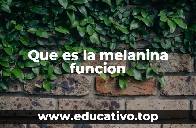 Que es la melanina funcion
