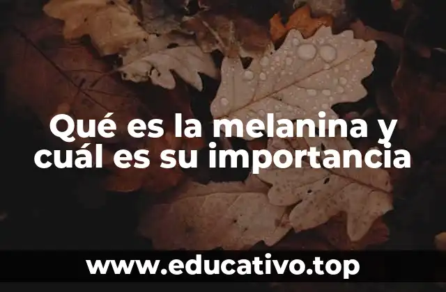 Qué es la melanina y cuál es su importancia