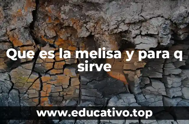 Que es la melisa y para q sirve