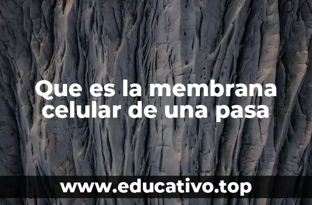 Que es la membrana celular de una pasa
