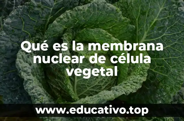 Qué es la membrana nuclear de célula vegetal