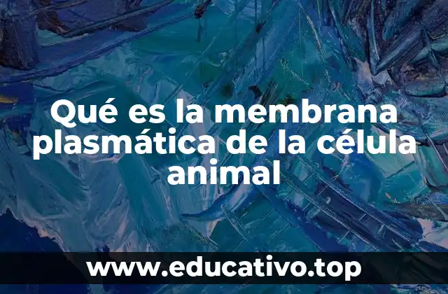 Qué es la membrana plasmática de la célula animal