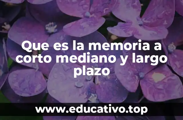 Que es la memoria a corto mediano y largo plazo