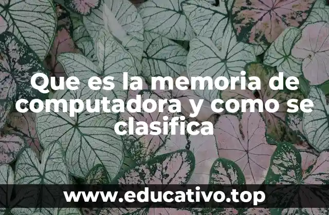 Que es la memoria de computadora y como se clasifica