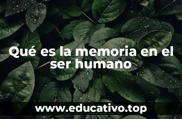 Qué es la memoria en el ser humano