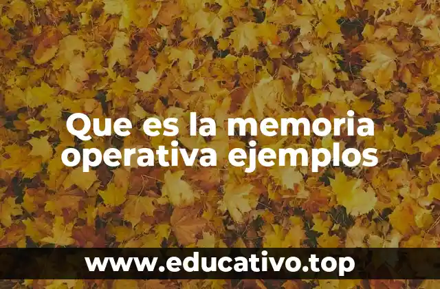 Que es la memoria operativa ejemplos