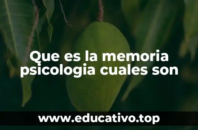 La memoria desde una perspectiva cognitiva