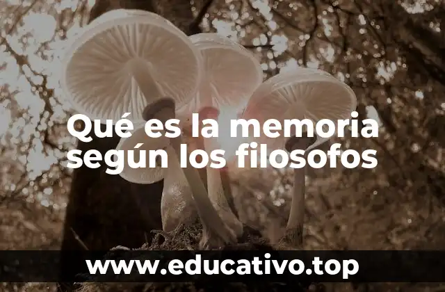 Qué es la memoria según los filosofos