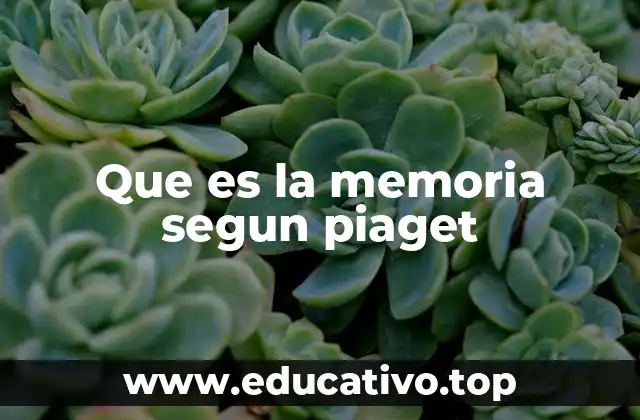 Que es la memoria segun piaget