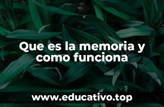 Que es la memoria y como funciona