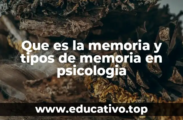 Que es la memoria y tipos de memoria en psicologia