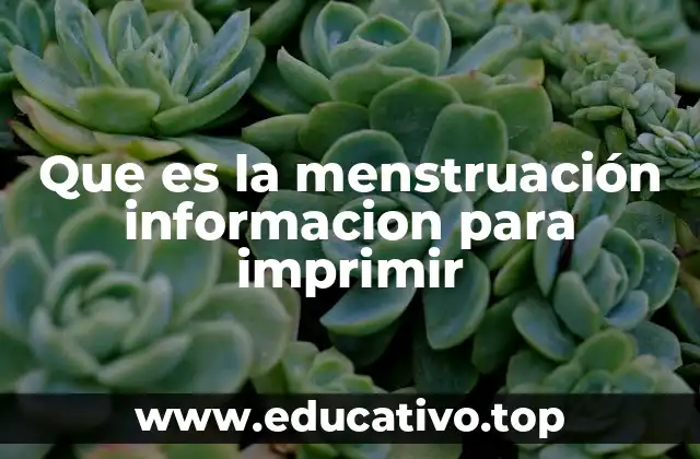 Que es la menstruación informacion para imprimir