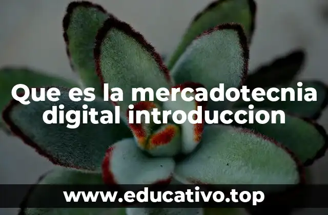 Que es la mercadotecnia digital introduccion