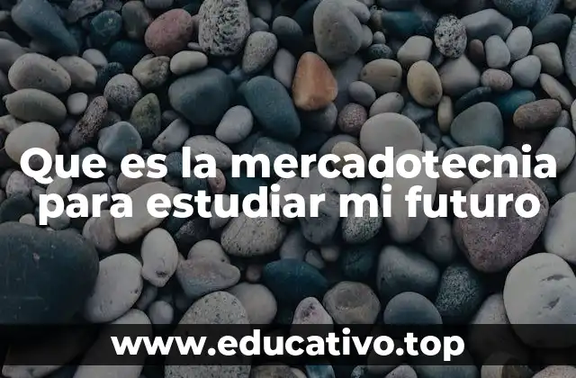 Que es la mercadotecnia para estudiar mi futuro