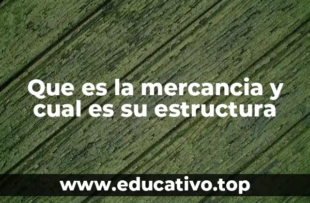 Que es la mercancia y cual es su estructura