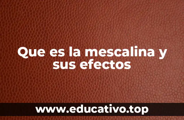 Que es la mescalina y sus efectos