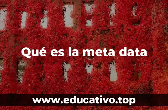 Qué es la meta data